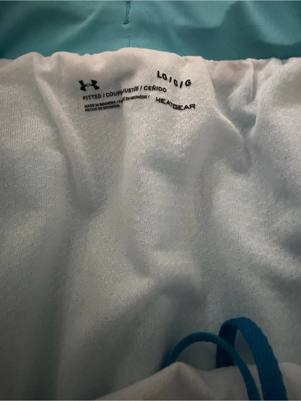 Under Armour Light Blue & Royal Blue Men's Swim Trunks